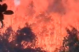 Nghệ An: Hàng ngàn người trắng đêm dập lửa cứu rừng