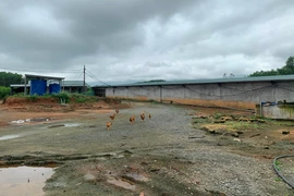 Hà Tĩnh: “Hô biến” đất rừng thành trại nuôi lợn?!