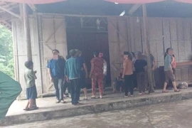 Quảng Bình: Đi đốt thực bì, 2 vợ chồng bị sét đánh thương vong