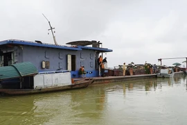 Khai thác cát trái phép, 3 cá nhân bị xử phạt hơn 500 triệu đồng