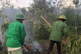 Hà Tĩnh: Cụ ông tử vong khi đốt thực bì