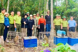 Hà Tĩnh: Thả 53 cá thể động vật hoang dã về môi trường tự nhiên