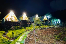 Nghệ An: Nghiêm cấm xây dựng trái phép trên đất rừng