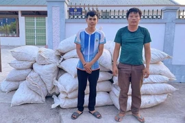 Gần 5 tấn gỗ trắc, vảy tê tê được cất giấu dưới sàn xe ô tô