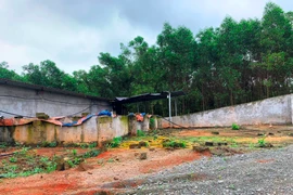 Vụ “hô biến” đất rừng thành trại lợn: Lập đoàn kiểm tra, xử lý