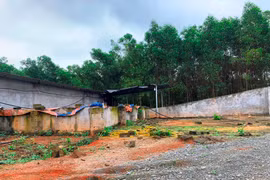 Vụ “hô biến” đất rừng thành trại lợn: Lập đoàn kiểm tra, xử lý