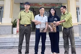 Hà Tĩnh: Tiếp nhận cá thể cu li quý hiếm thả về tự nhiên