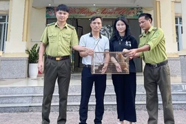 Hà Tĩnh: Tiếp nhận cá thể cu li quý hiếm thả về tự nhiên