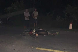 Quảng Bình: Xe máy đối đầu nhau, 2 người tử vong tại chỗ