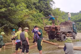 Hà Tĩnh: Bắt giữ khối lượng lớn gỗ lậu được giấu ở lòng suối