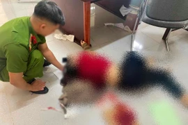 Vụ chồng đâm vợ trọng thương tại toà: Bắt tạm giam người chồng