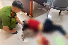 Vụ chồng đâm vợ trọng thương tại toà: Bắt tạm giam người chồng