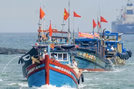 Quảng Bình hỗ trợ 24 tỷ đồng cho tàu khai thác hải sản xa bờ