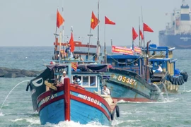 Quảng Bình hỗ trợ 24 tỷ đồng cho tàu khai thác hải sản xa bờ