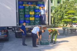 Bắt xe tải chở hơn 10 tấn gà không rõ nguồn gốc