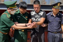 Bắt giữ tài xế vận chuyển trái phép 287 kg pháo, 2.614 kg gỗ trắc