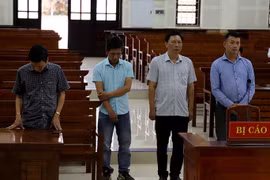 Quảng Bình: Nguyên Giám đốc Ban quản lý dự án cùng thuộc cấp nhận án tù