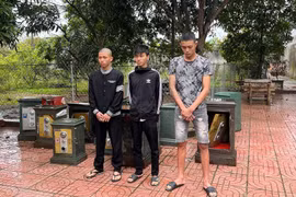 Nghệ An: Nhóm “đạo chích” trộm tài sản đền chùa sa lưới 