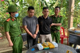 Quảng Bình: Triệt phá đường dây vận chuyển hơn 14.000 viên ma tuý