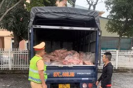 Nghệ An: Bắt giữ 600kg cổ, cánh gà không rõ nguồn gốc