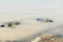 Bàng hoàng phát hiện thi thể 2 người đàn ông trên sông Lam