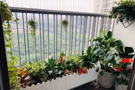 Cách trang trí ban công chung cư đẹp và tiết kiệm chi phí