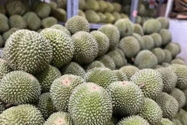 Sầu riêng Black Thorn rớt giá mạnh