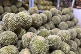 Sầu riêng Black Thorn rớt giá mạnh