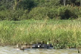 Phát hiện thi thể người phụ nữ trôi dạt trên sông Sêrêpốk