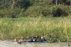 Phát hiện thi thể người phụ nữ trôi dạt trên sông Sêrêpốk