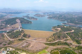 Lâm Đồng: Khẩn trương rà soát, xử lý dứt điểm các kết luận của TTCP