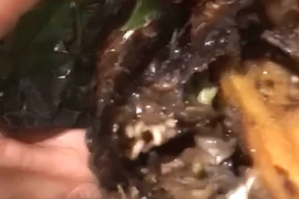 Xử phạt hành chính quán cá lóc nướng có dòi ở Đắk Lắk