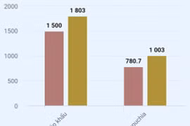 DN chi 1,8 tỷ USD để nhập loại hạt siêu bổ dưỡng