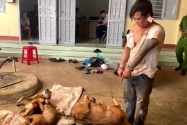 Bị phát hiện trộm chó liền lấy dao đâm chủ nhà trọng thương