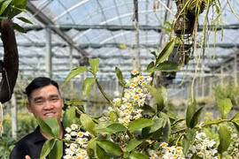 Khởi nghiệp từ 16 tuổi, chàng trai thu lãi cả tỷ đồng/năm