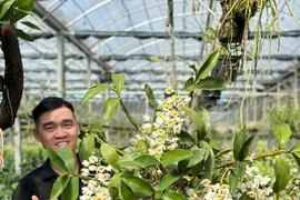 Khởi nghiệp từ 16 tuổi, chàng trai thu lãi cả tỷ đồng/năm