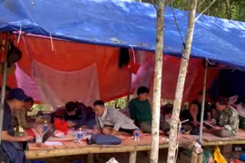 Bắt 11 đối tượng khai thác vàng trái phép ở Đắk Lắk