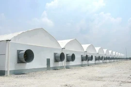 4 giải pháp thông gió giúp nhà thêm thông thoáng