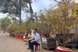 Chợ hoa ế ẩm ngày cận Tết, nhiều tiểu thương lo lắng?!