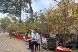 Chợ hoa ế ẩm ngày cận Tết, nhiều tiểu thương lo lắng?!