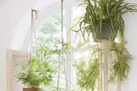 Bố trí góc vườn nhỏ xinh cho nhà chật