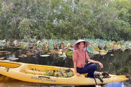 Vợ Việt rủ chồng Mỹ bỏ phố về rừng, cuốc đất trồng sen