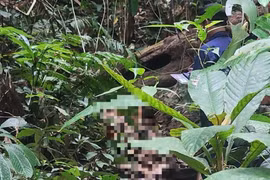 Đã xác định được nhân thân thi thể nữ giới ở đèo Phượng Hoàng