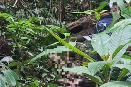 Đã xác định được nhân thân thi thể nữ giới ở đèo Phượng Hoàng