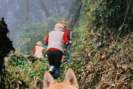 Mục tiêu 2025, tôi sẽ dẫn chó cưng chinh phục 15 ngọn núi