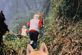 Mục tiêu 2025, tôi sẽ dẫn chó cưng chinh phục 15 ngọn núi