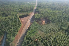 BCA điều tra dự án liên quan Tập đoàn Thuận An tại Đắk Lắk