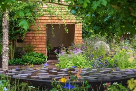 Thiết kế nhà gỗ biến khu vườn bệnh viện thành thiên đường 