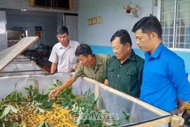 Nuôi đủ thứ con, cựu chiến binh Cà Mau thu 150 triệu đồng/năm