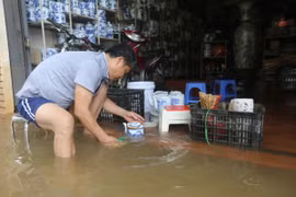 Tiểu thương làng gốm Bát Tràng thiệt hại nặng nề do ngập lụt